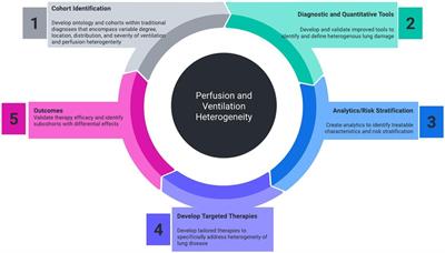 Editorial: Understanding the impact of lung ventilation heterogeneity